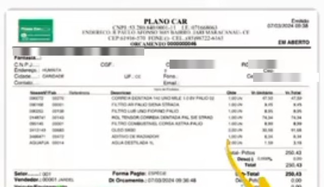 Recibo com o Plano Car, cliente Gabriela: total R$ 250,43